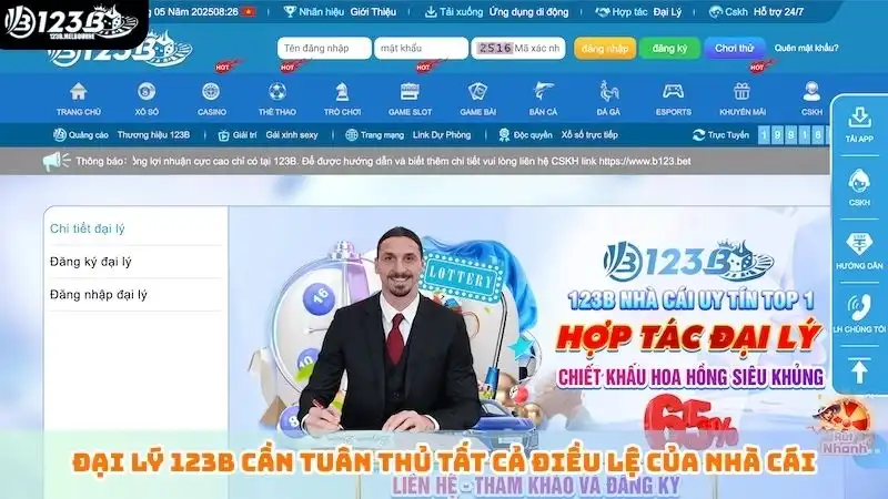 Đại lý 123B cần tuân thủ tất cả điều lệ của nhà cái