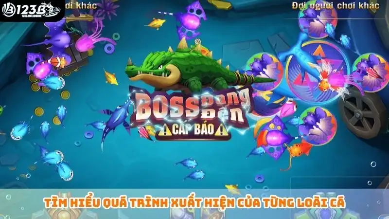 Tìm hiểu quá trình xuất hiện của từng loài cá