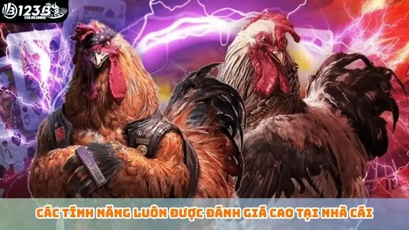 Các tính năng thường gặp khi chơi đá gà trực tiếp tại 123B