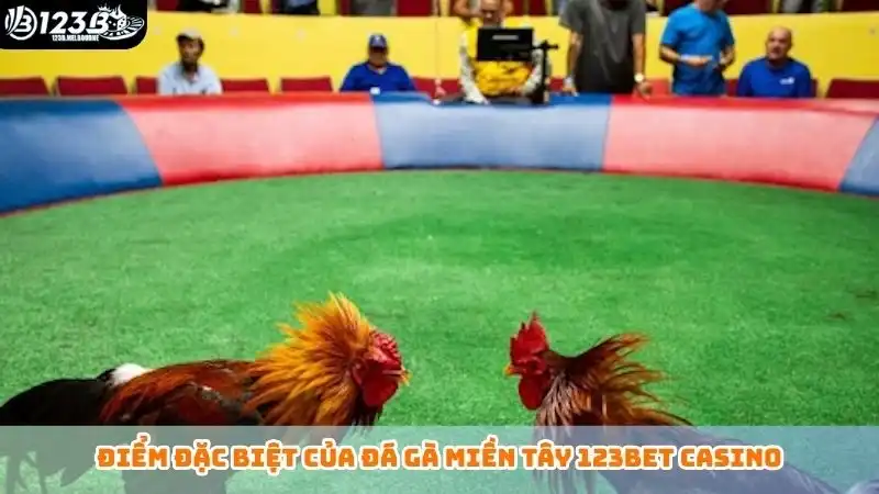 Điểm đặc biệt của đá gà miền Tây 123bet casino