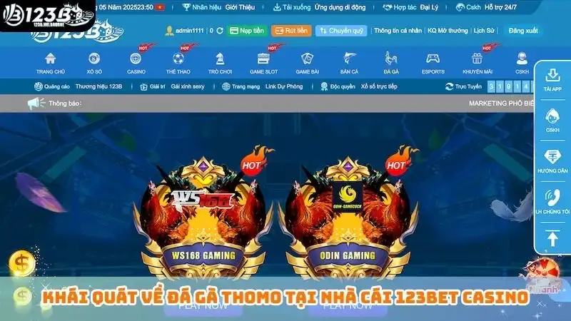 Khái quát về đá gà Thomo tại nhà cái 123bet casino