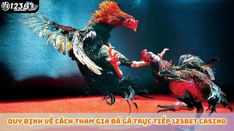 Quy định về cách tham gia đá gà trực tiếp 123bet casino