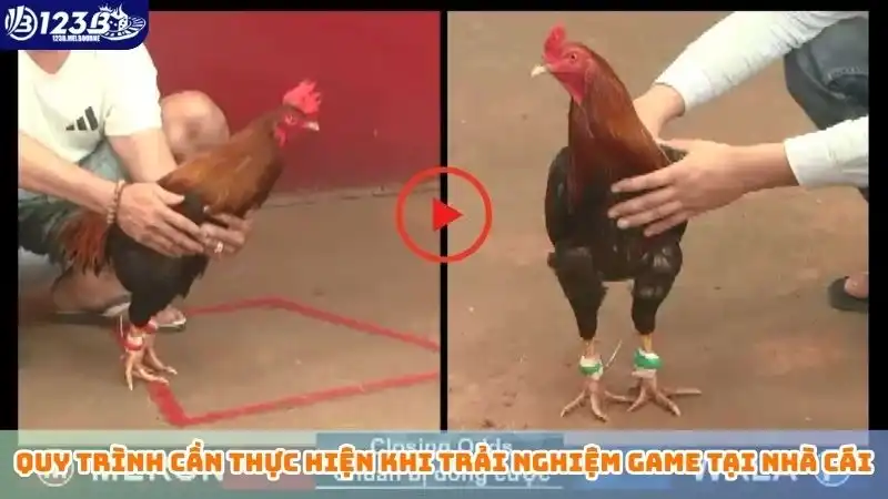 Quy trình cần thực hiện khi trải nghiệm game tại nhà cái
